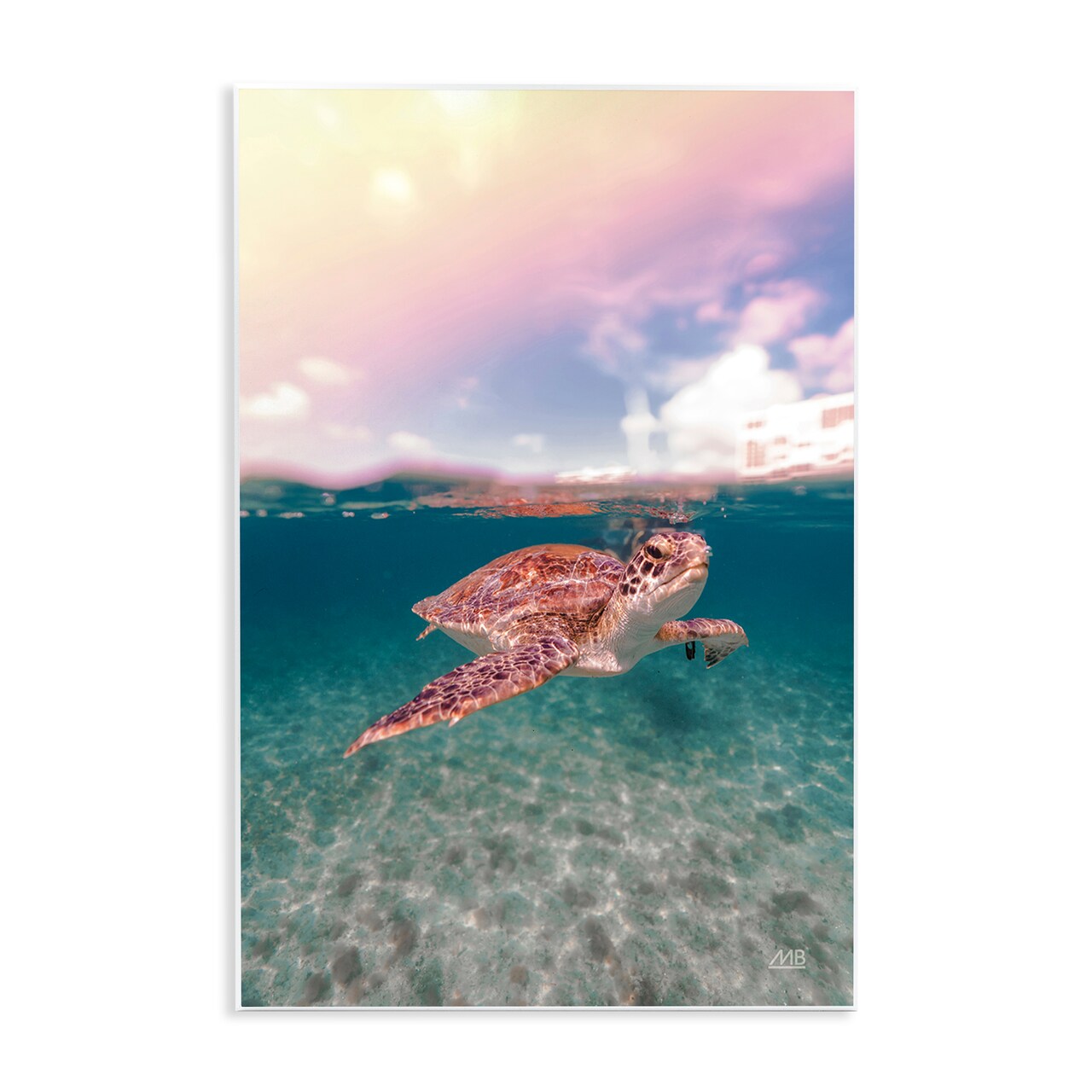 Stupell Industries Above & Below Sea Turtle Wall Plaque Art Design by Max Blakesberg Studios